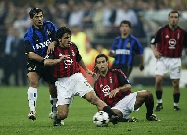 若兮养了一 若兮养了一